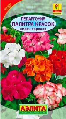 Пеларгония зональная F1 MIX, Гор12 М в интернет гипермаркете «Планета Лета». Фото