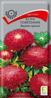 Астра помпонная Вишнево-красная (ЦВ) 0,3гр. в интернет гипермаркете «Планета Лета». Фото