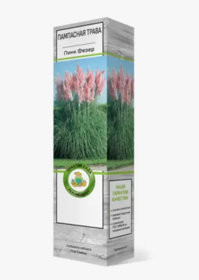 Пампасная трава Розеа/ЦКор в интернет гипермаркете «Планета Лета». Фото