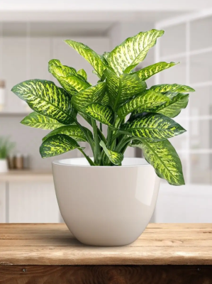 Горшок Орион бежевый высокий овал d12, h10см, 0,6л в интернет гипермаркете «Планета Лета». Фото