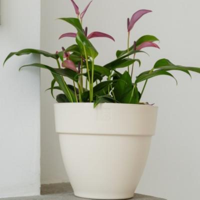 Горшок VipSet Лори d17. h13,9см, 2,1л крем в интернет гипермаркете «Планета Лета». Фото