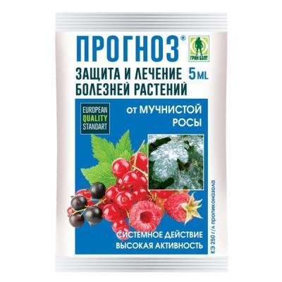 ПРОГНОЗ амп 5мл ГРИН БЭЛТ в интернет гипермаркете «Планета Лета». Фото ПРОГНОЗ амп 5мл в интернет гипермаркете «Планета Лета». Фото