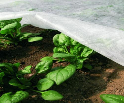 Укрывной материал Спанбонд 60 3,2*10м в интернет гипермаркете «Планета Лета». Фото