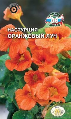 Настурция Оранжевый луч 1 гр в интернет гипермаркете «Планета Лета». Фото