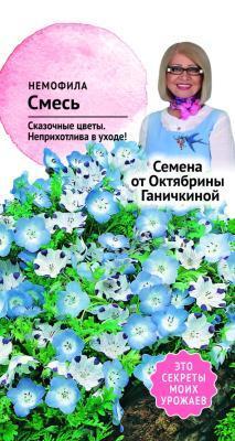 Немофила смесь 0,2гр Ганичкина в интернет гипермаркете «Планета Лета». Фото