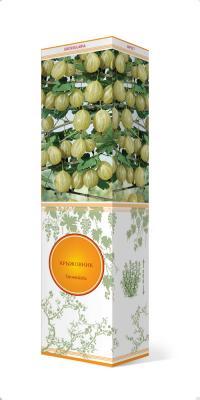 Крыжовник Берилл П в интернет гипермаркете «Планета Лета». Фото