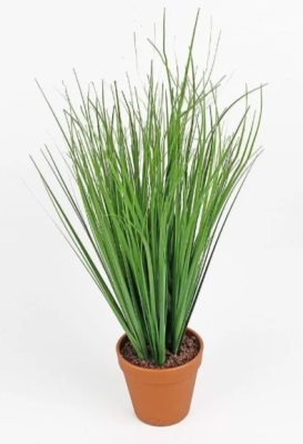 Водные растения, Гор12, Выс30 в интернет гипермаркете «Планета Лета». Фото