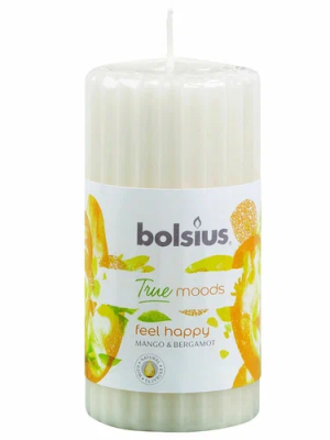 Свеча Болсус столб аром 120*60 1шт Манго и бергамот в интернет гипермаркете «Планета Лета». Фото