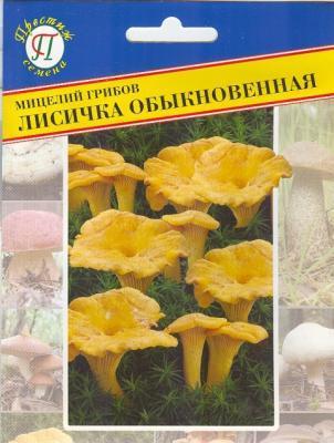 Лисичка обыкновенная в интернет гипермаркете «Планета Лета». Фото