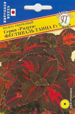 Колеус Фестиваль танца F1 в интернет гипермаркете «Планета Лета». Фото