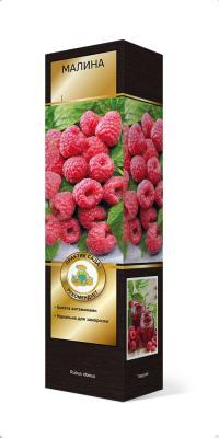 Малина традиционные сорта Новость Кузьмина/ЦКор в интернет гипермаркете «Планета Лета». Фото
