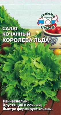 Салат Айсберг Королева Льда в интернет гипермаркете «Планета Лета». Фото