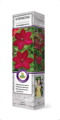 Клематис крупноцветковый Солидарность/ЦКор в интернет гипермаркете «Планета Лета». Фото