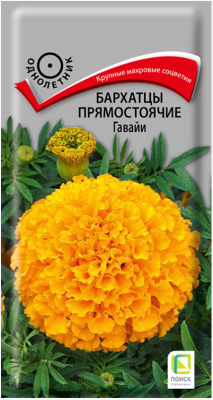 Бархатцы прямостоячие Гавайи в интернет гипермаркете «Планета Лета». Фото