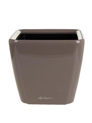 Кашпо   Lechuza Quadro LS Complete (taupe high gloss), 43x43xH40см в интернет гипермаркете «Планета Лета». Фото