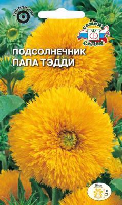 Подсолнечник Папа Тэдди 1 гр в интернет гипермаркете «Планета Лета». Фото