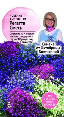 Лобелия Регатта Смесь 10шт в интернет гипермаркете «Планета Лета». Фото