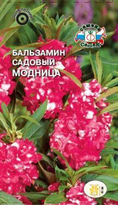 Бальзамин Модница 0,2 гр в интернет гипермаркете «Планета Лета». Фото