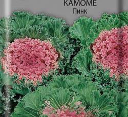 Капуста декоративная Камоме Пинк (ЦВ) (1") 10шт. в интернет гипермаркете «Планета Лета». Фото