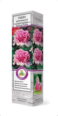 Пион древовидный Розовое серебро и золотая рыбка П в интернет гипермаркете «Планета Лета». Фото