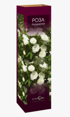 Роза плетистая Шнеевальцер/ЦКор П в интернет гипермаркете «Планета Лета». Фото