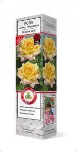 Роза чайно-гибридная Христофор Колумб П в интернет гипермаркете «Планета Лета». Фото
