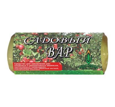 Вар садовый в контейнере Доктор Грин 200г в интернет гипермаркете «Планета Лета». Фото