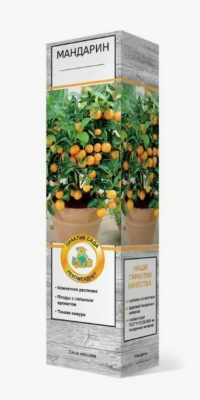 Мандарин Ретикулата П в интернет гипермаркете «Планета Лета». Фото