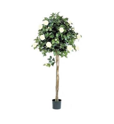 Камелия на штамбе кремовая 160 см 10.39305NW в интернет гипермаркете «Планета Лета». Фото