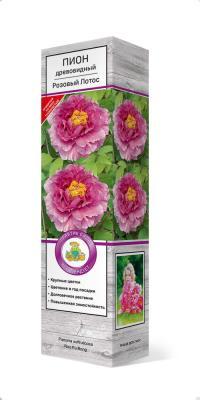 Пион древовидный Розовый Лотос/ЦКор в интернет гипермаркете «Планета Лета». Фото