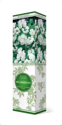 Жасмин садовый (Чубушник) Вёджинэл/ЦКор в интернет гипермаркете «Планета Лета». Фото