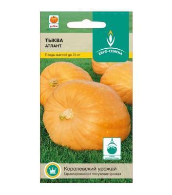 Тыква Атлант