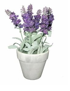 Гиацинт в кашпо H-22см HR-26080 в интернет гипермаркете «Планета Лета». Фото
