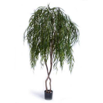 Ива плакучая 240 см 2/2 10.56208N в интернет гипермаркете «Планета Лета». Фото
