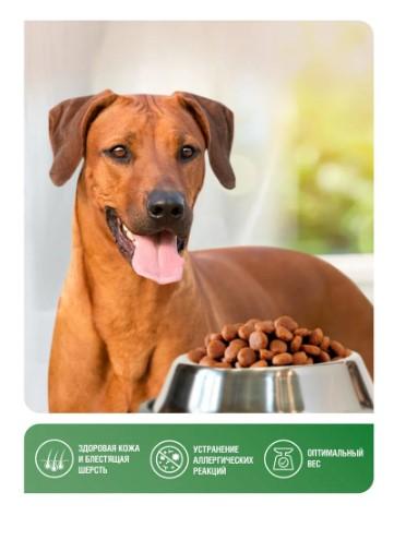 Сухой корм для собак Зоогурман СУПЕРПРЕМИУМ, для собак средних и крупных пород, Zoogurman Hypoallerg в интернет гипермаркете «Планета Лета». Фото