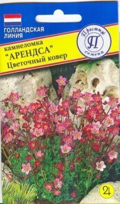 Камнеломка Цветочный ковер в интернет гипермаркете «Планета Лета». Фото
