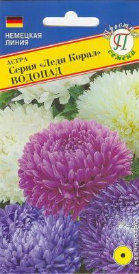 Астра Леди Корал Смесь Водопад в интернет гипермаркете «Планета Лета». Фото
