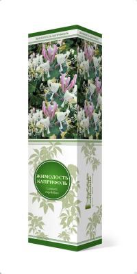 Жимолость (декоративная) каприфоль/ЦКор в интернет гипермаркете «Планета Лета». Фото