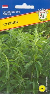 Стевия (Медовая трава) в интернет гипермаркете «Планета Лета». Фото
