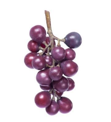 Виноград черный гроздь малая в-15 см 30.0313047 в интернет гипермаркете «Планета Лета». Фото