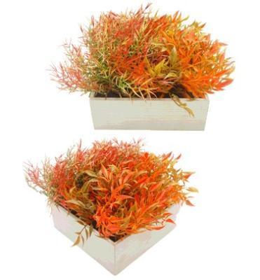 Растение в кашпо 34х34х22см HD-37445 в интернет гипермаркете «Планета Лета». Фото