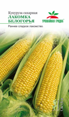 Кукуруза Лакомка Белогорья (сахарная). Евро, 5 в интернет гипермаркете «Планета Лета». Фото