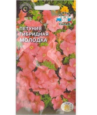 Петуния Молодка F1 низкорослая, крупноцветковая в интернет гипермаркете «Планета Лета». Фото