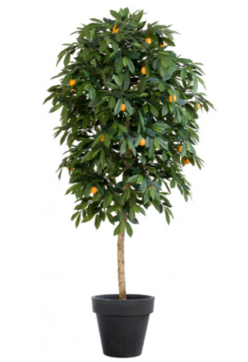Мандарин Оранж 110 см в интернет гипермаркете «Планета Лета». Фото