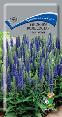 Вероника (колосковая) колосистая Голубая (ЦВ) ("М) 0,1гр. в интернет гипермаркете «Планета Лета». Фото