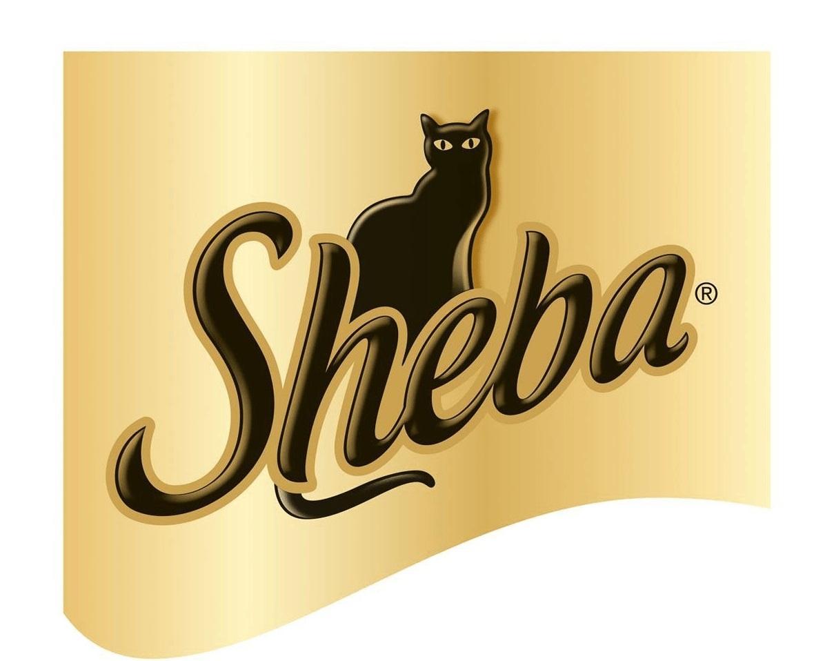 Sheba Sheba