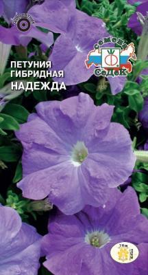 Петуния Надежда F1 низкорослая, крупноцветковая в интернет гипермаркете «Планета Лета». Фото