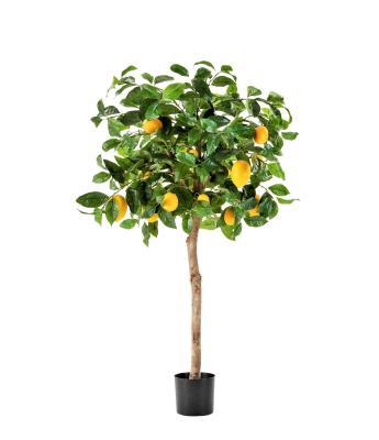 Лимонное дерево с плодами в-120 см д-50 см 10.59704N в интернет гипермаркете «Планета Лета». Фото