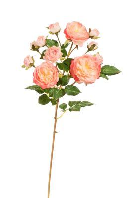 Роза Дэвид Остин ветка Спрей св.розовая с кремовым (3 цв, 8 бут) в-51 см 30.11170014LPC в интернет гипермаркете «Планета Лета». Фото