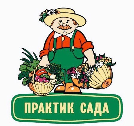 Практик сада Практик сада